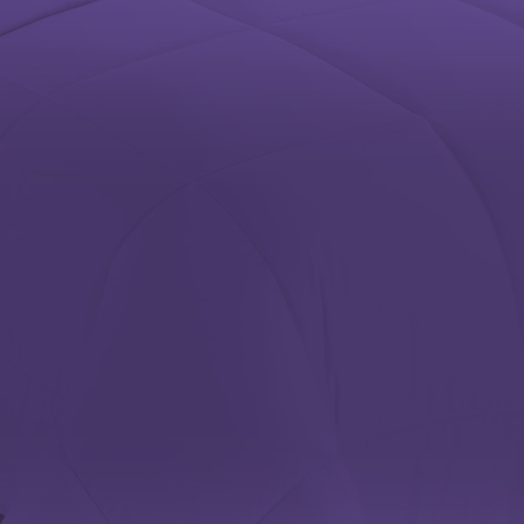 Purple Comforter Set