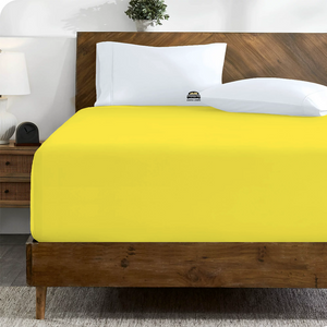 Yellow Fitted Sheet Solid Comfy Sateen