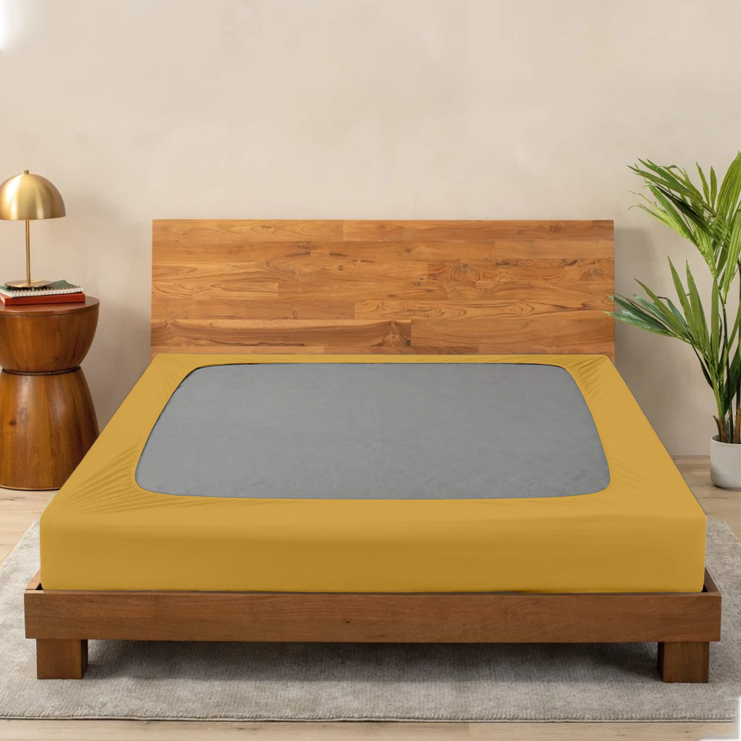 Gold Box Spring Cover