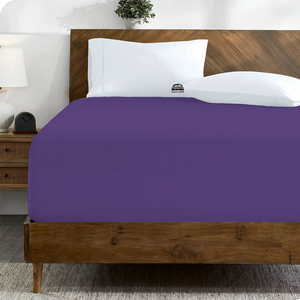 Purple Fitted Sheet Solid (Comfy 300TC)