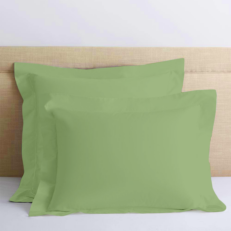 Sage Green Euro Shams